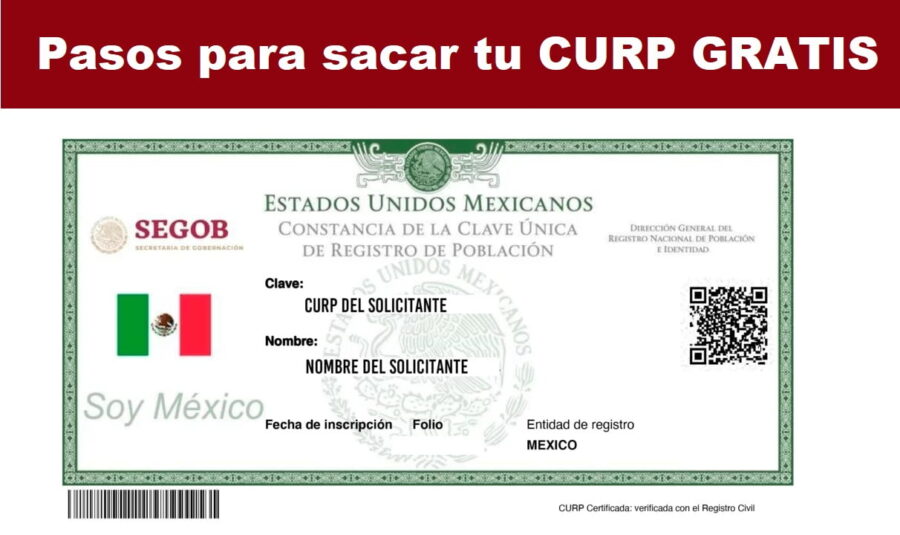 Guía Completa para Obtener tu CURP en Línea Gratis