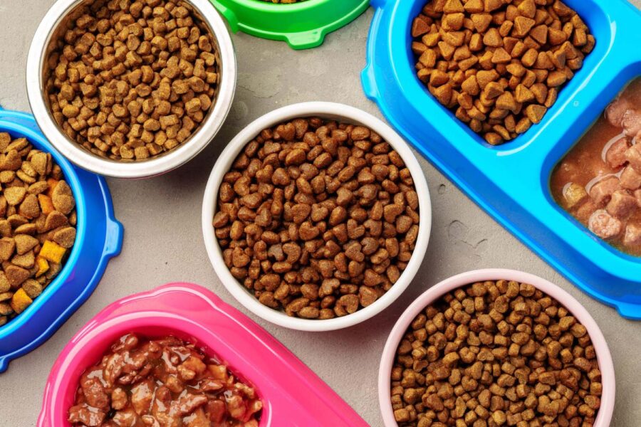 🐶🐱 How to Grab FREE Food and Treats for Your Pets