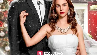 Encontrei Um Marido Bilionário E Sem-Teto Para o Natal