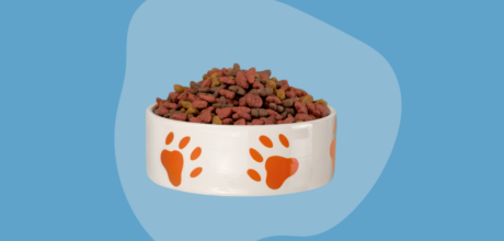 Muestras Gratis de Alimento para Mascotas: Paso a Paso para Reclamar Hoy