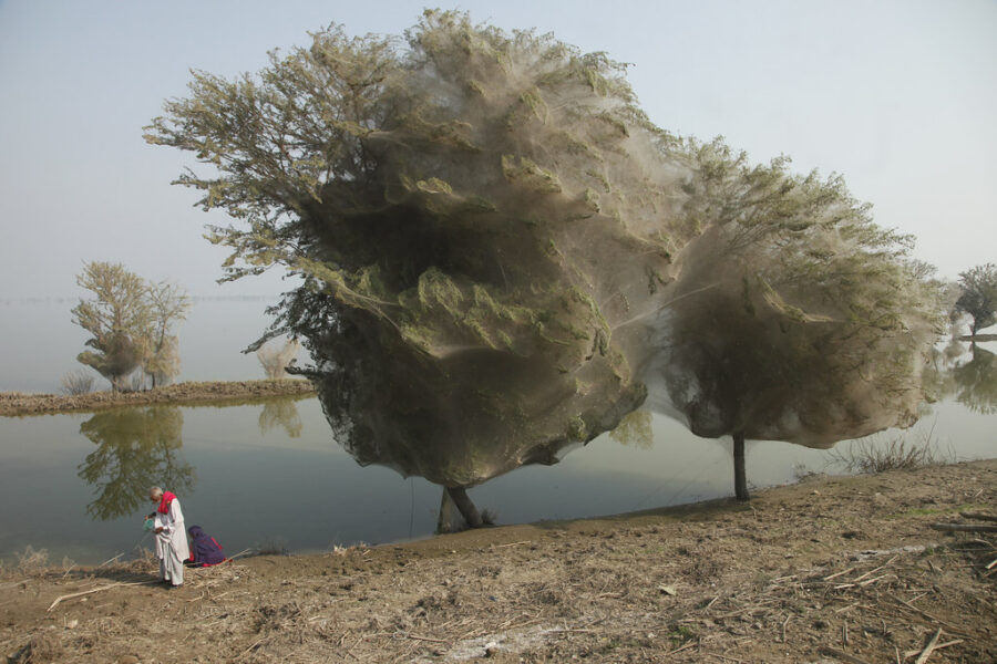 Fenômenos naturais raros e impressionantes que ocorrem na Terra